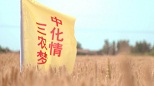 中化集團(tuán)農(nóng)業(yè)業(yè)務(wù)宣傳片