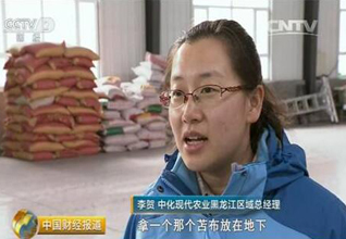 農(nóng)業(yè)供給側(cè)結(jié)構(gòu)性改革新觀察：“胖”玉米的減肥陣痛