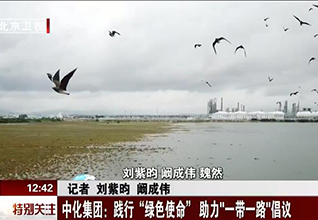 中化集團(tuán)：踐行“綠色使命”助力“一帶一路”倡議