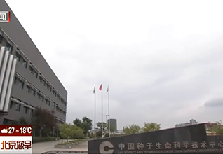 揚(yáng)帆出海！“高科技”種子邁向孟加拉
