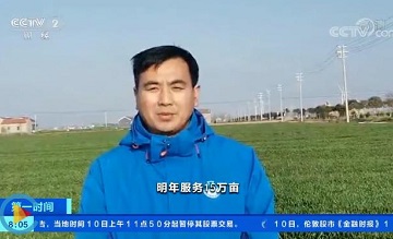 遙感地圖監(jiān)測 全國小麥苗情好于常年