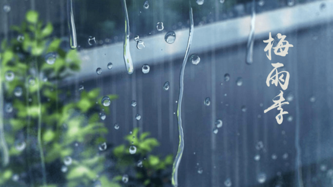 梅雨季 綠盾衛(wèi)士幫您渡過“南”關(guān)